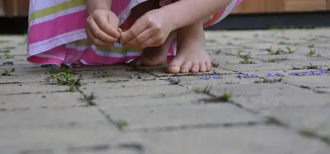 Créer une terrasse en pierre naturelle